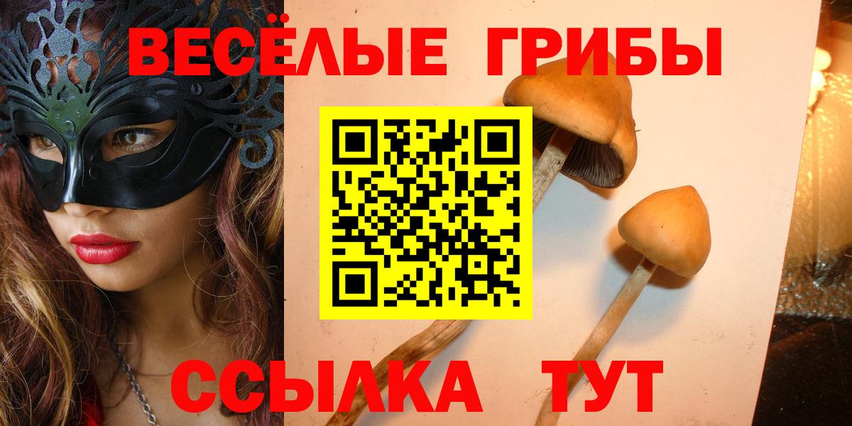 Галлюциногенные грибы прущие грибы  Вход с VPN  Красноуфимск 